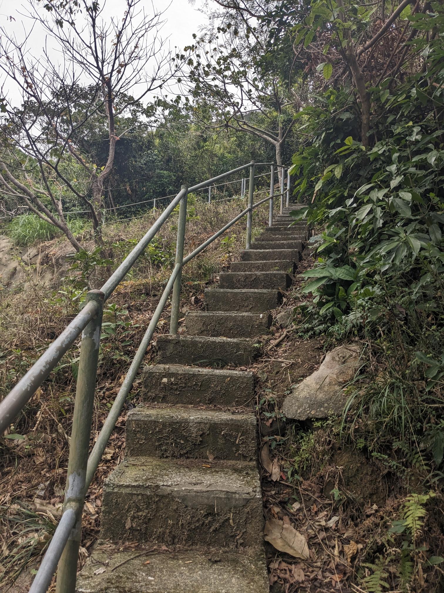 A concrete uphill staircase into nature. A concrete uphill staircase into nature.