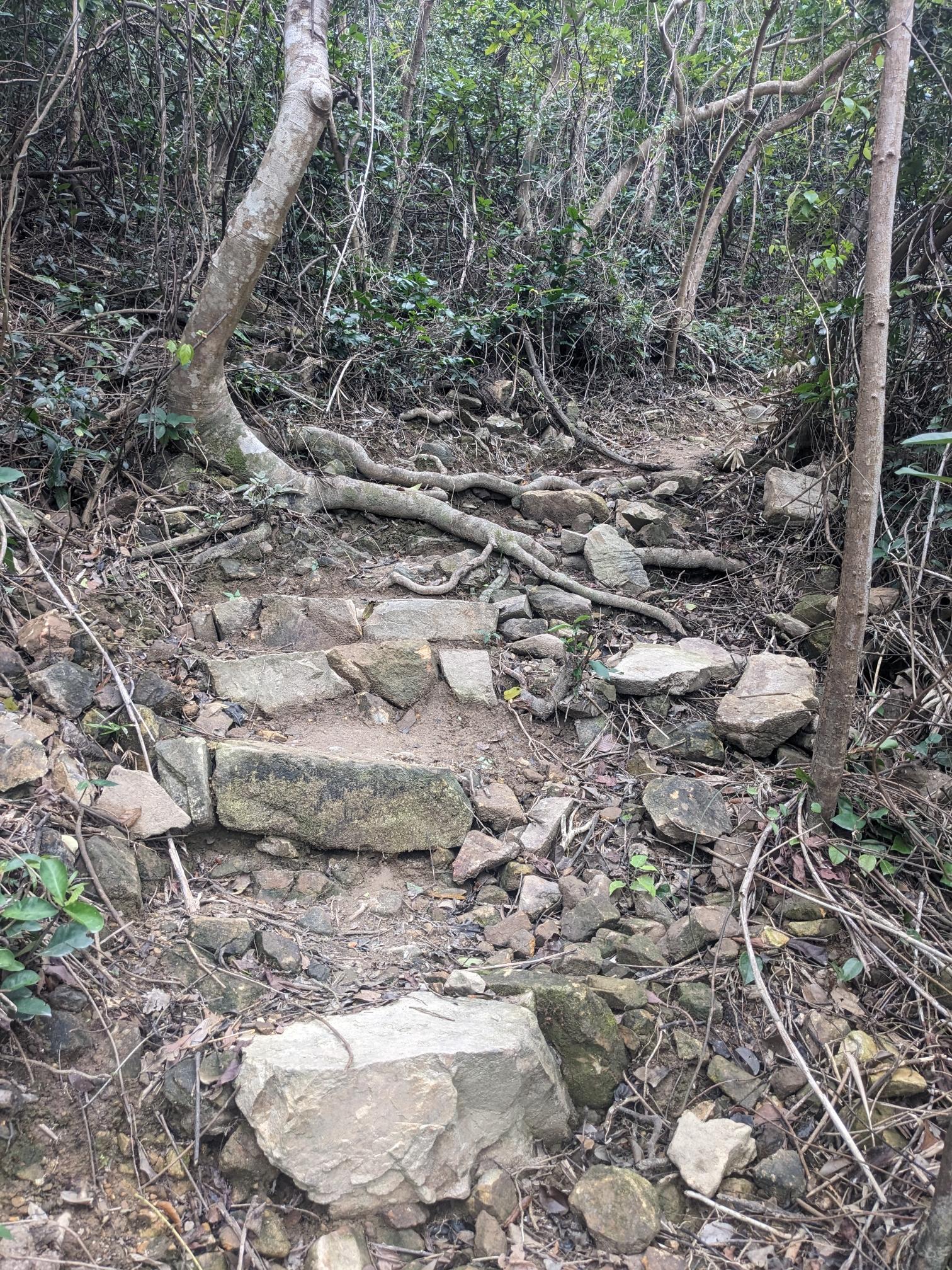 A "staircase" made from crumbly stones. A "staircase" made from crumbly stones.