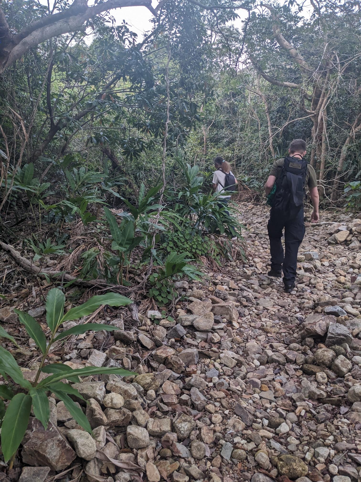 Two people walk up a stoney river bed. Two people walk up a stoney river bed.