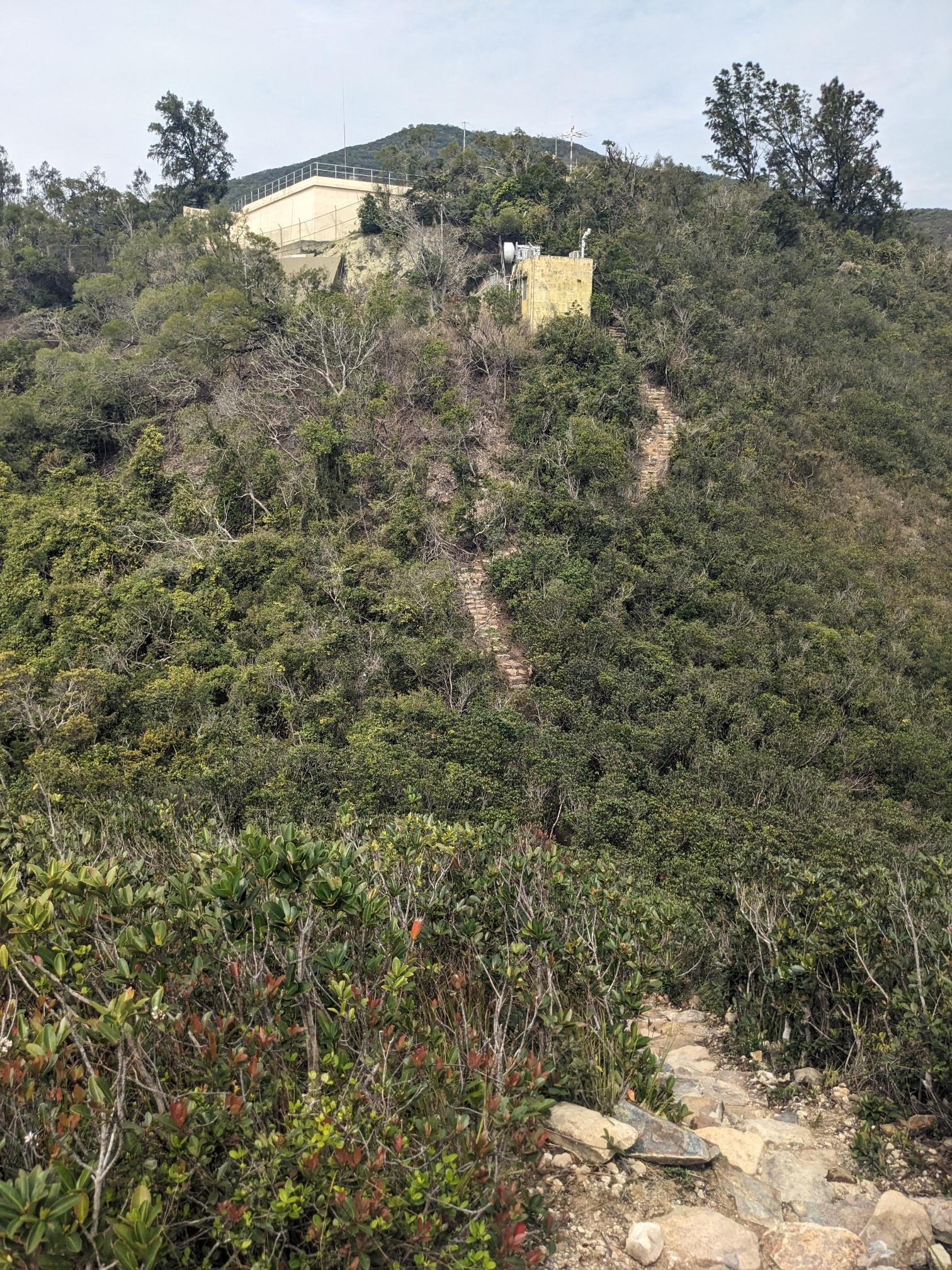 A staircase snaking down and up hills. A staircase snaking down and up hills.
