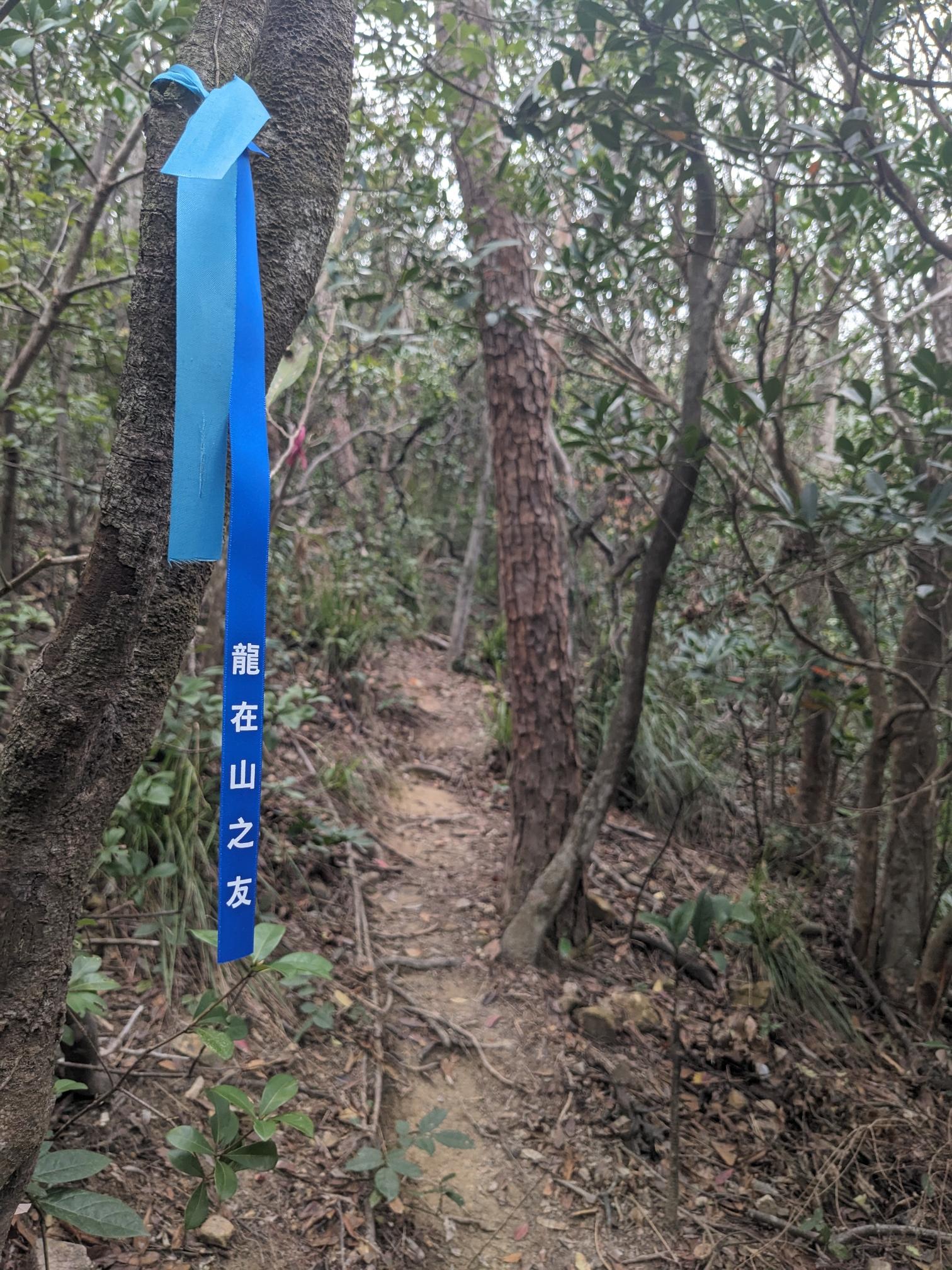 A blue ribbon with Chinese characters is knotted to a branch. A blue ribbon with Chinese characters is knotted to a branch.