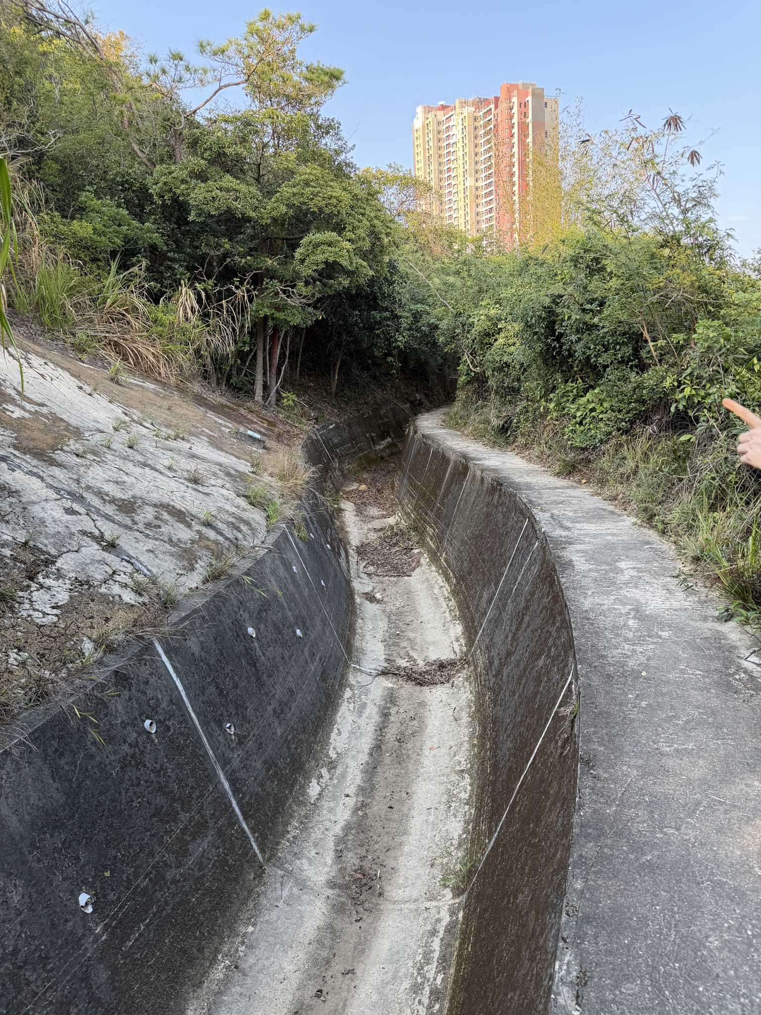 A canal curves through plants. A high building in the bacckground. A canal curves through plants. A high building in the bacckground.