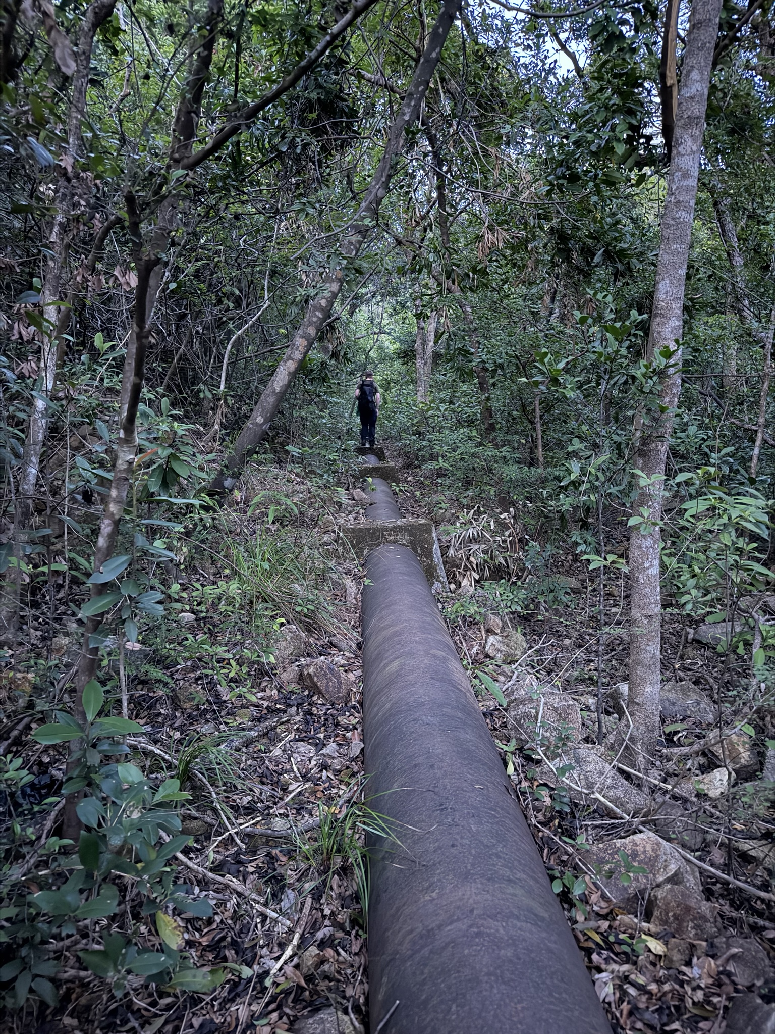 A metal pipe, partly buried into the ground. A metal pipe, partly buried into the ground.