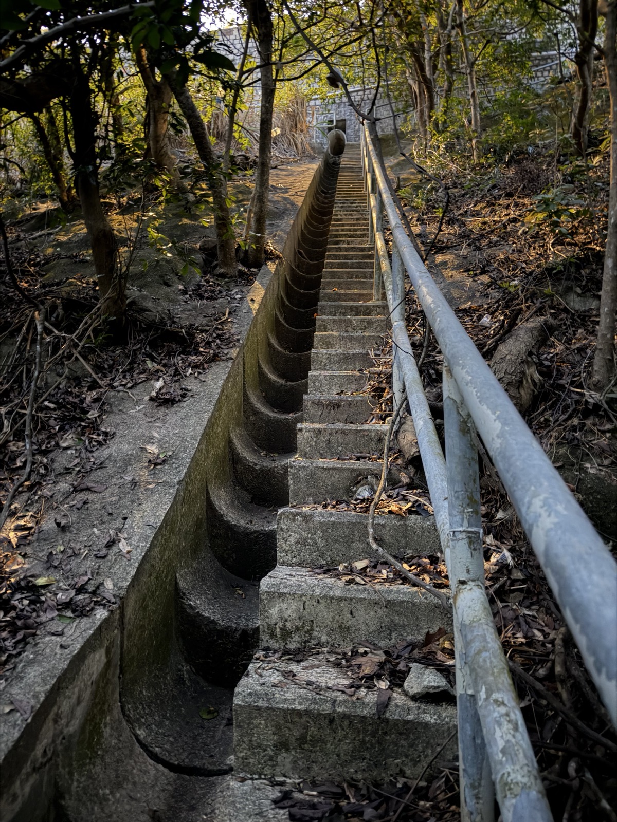 Concrete stairs going up through a forest. You can see a brick structure in the distance.