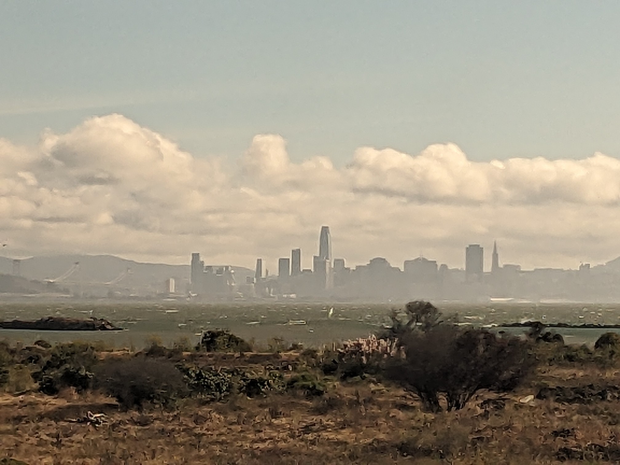 A skyline of skycrapers in the distance.